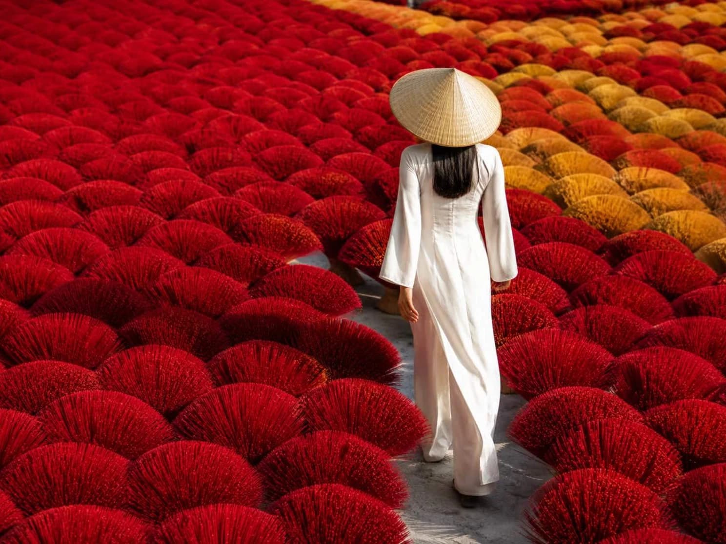 Northern Vietnam Highlands