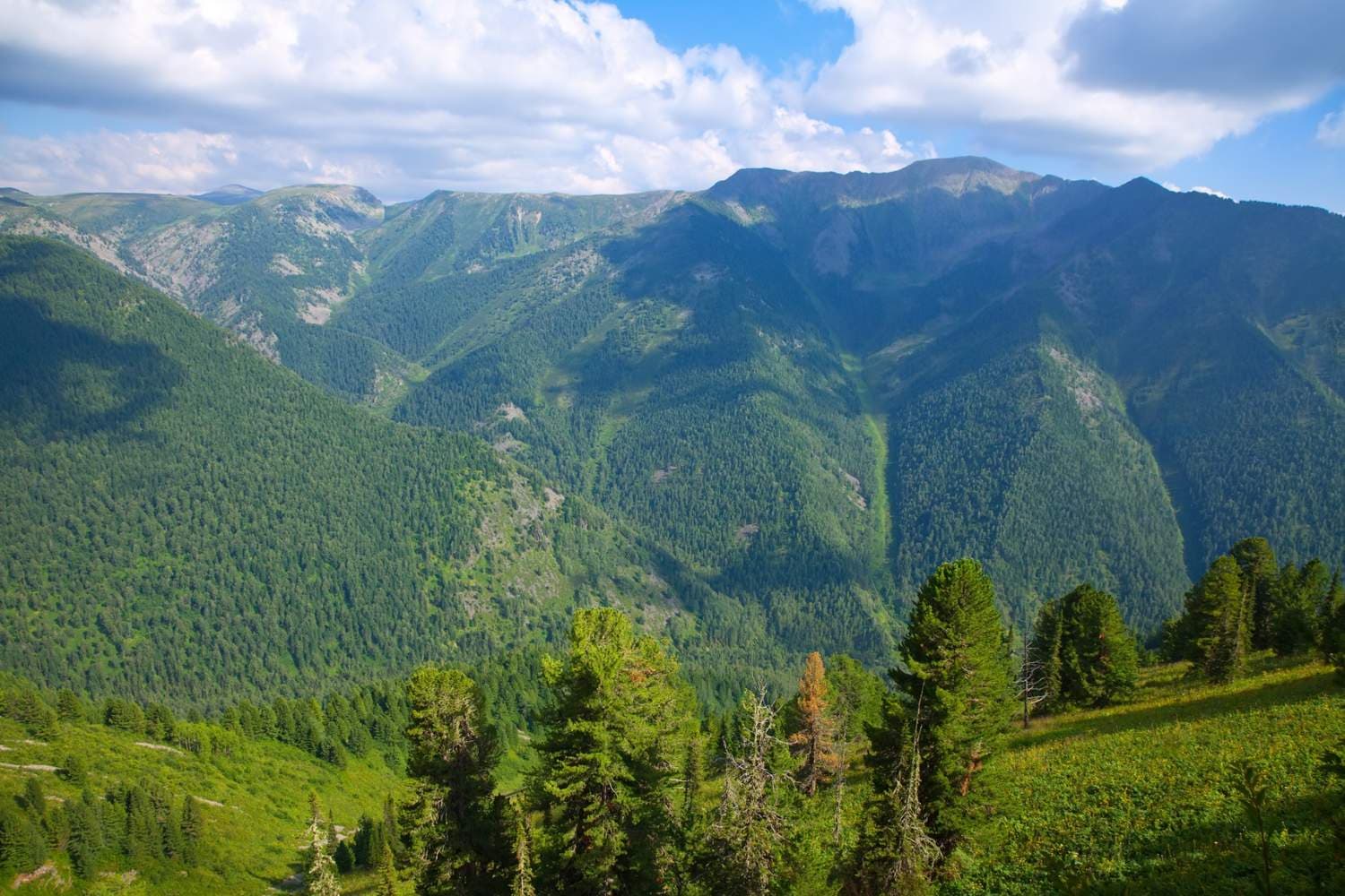 Mountain Immersion