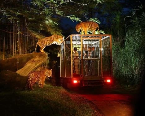 The Safari Lodge