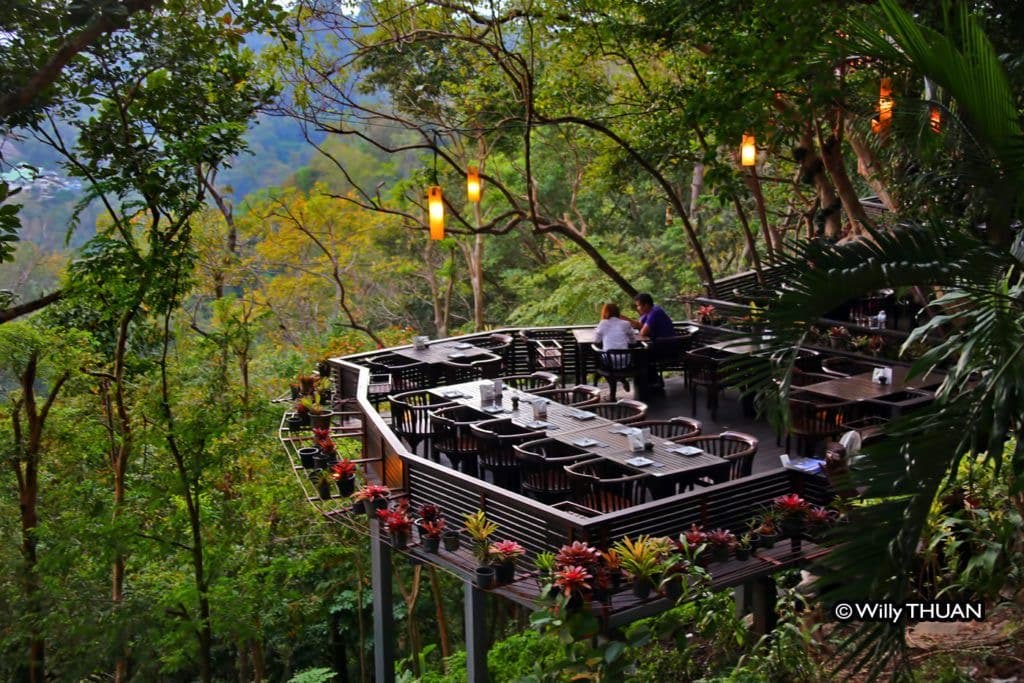 Phuket Express photo 5