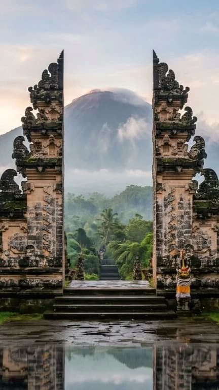 Bali Wildlife photo 3