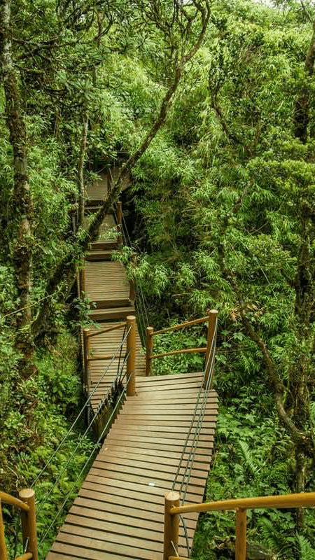 Nature & Highlands Trail photo 3