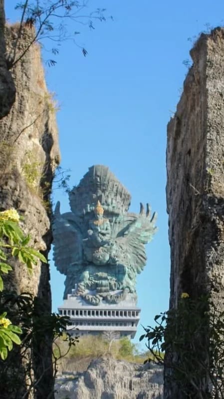 Bali Wildlife photo 2